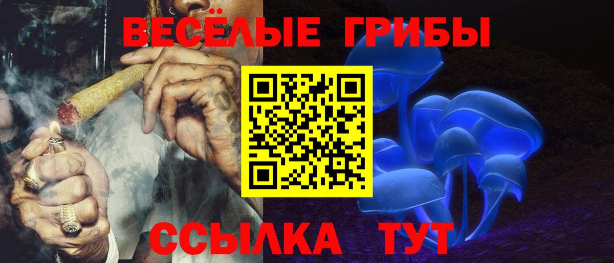 Галлюциногенные грибы прущие грибы  Вход с VPN  Котлас  Галлюциногенные грибы ЛСД 