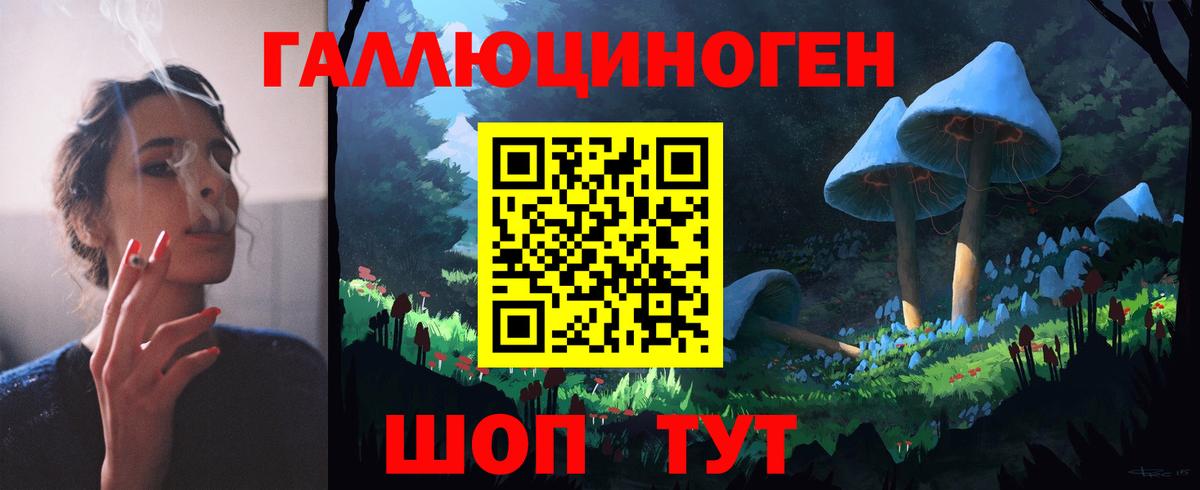 Псилоцибиновые грибы Psilocybe Котлас